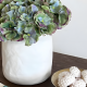 Porcelain Vase Large